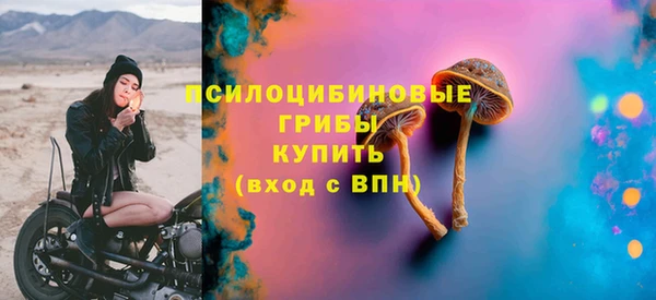 гашик Медвежьегорск