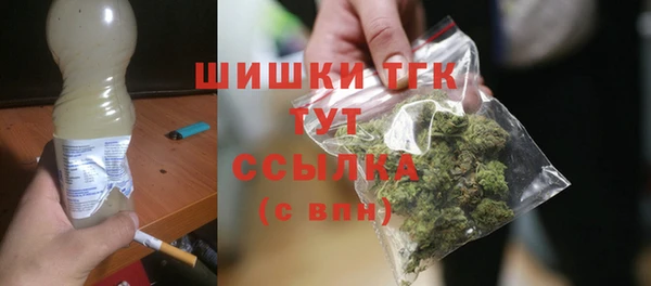 хмурый Медногорск