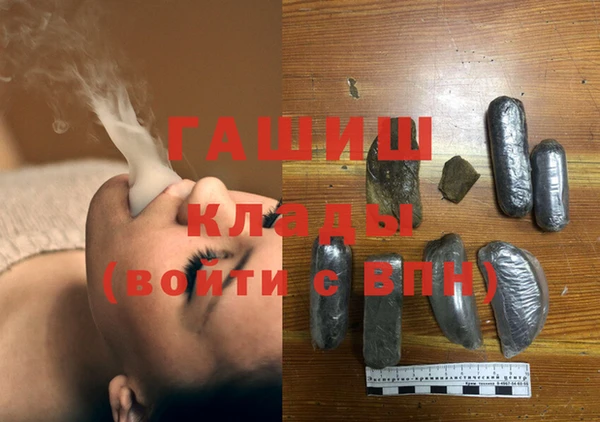 прущие грибы Магас