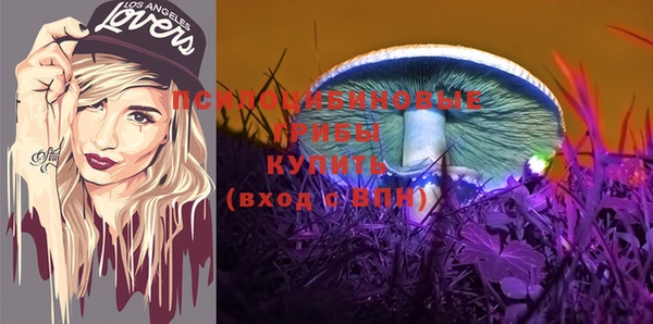 ALPHA-PVP Туринск