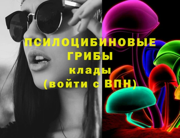 хмурый Медногорск