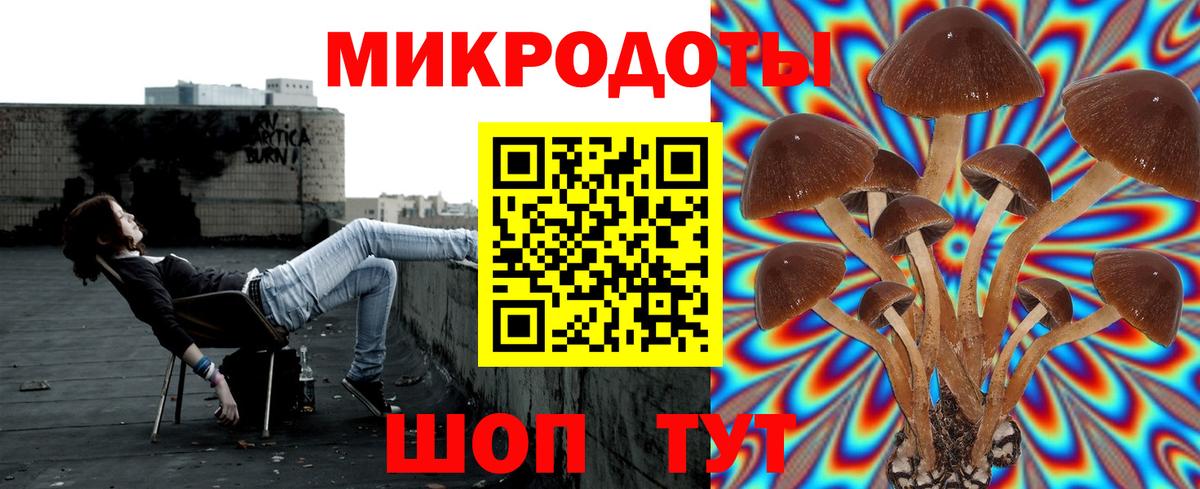 Новоалександровск  Галлюциногенные грибы GOLDEN TEACHER  наркота  Вход с VPN 